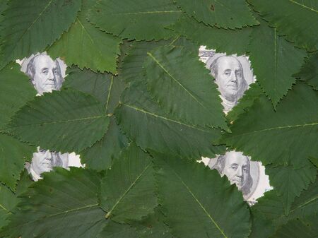 hidden moneyの写真素材