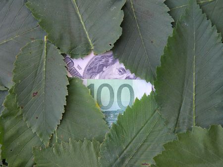 hidden moneyの写真素材
