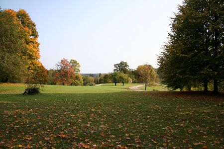 Golden autumnの写真素材