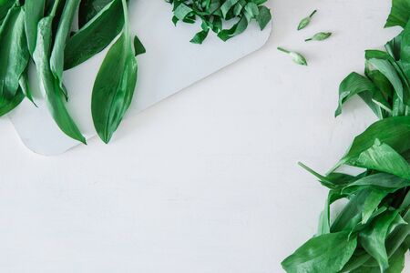 Green leaves of wild garlic on a white table, top viewの写真素材