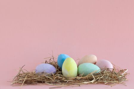 Easter eggs in a nest on color background