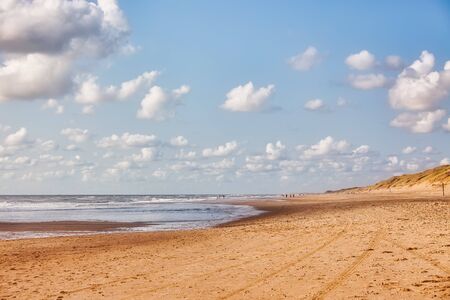 Large sand beach and sea wave in sunny day under blue clear sky at Dutch north sea coast,for summer .の写真素材