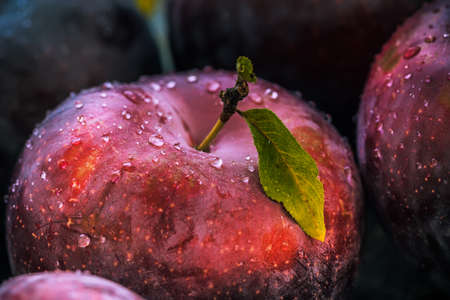 Close-up of a fresh, ripe plum with drops against a dark backgroundの写真素材