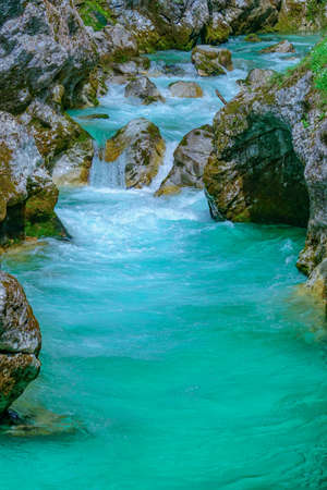 The beautifull emerald green river Soca in the middle of the triglav national park, Sloveniaの写真素材