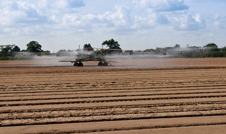 Irrigation system to bring water to dry fields and young shoots and seedlingsの写真素材