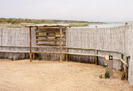 bird hideの写真素材