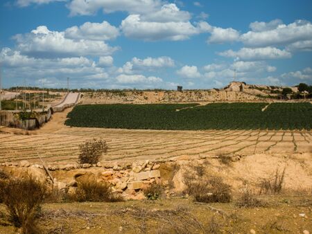 view over dry fields in spanish countrysideの写真素材