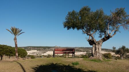 bench with a view over spanish golf courseの写真素材