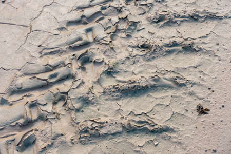 dried mud pattern with recent tyre tracksの写真素材