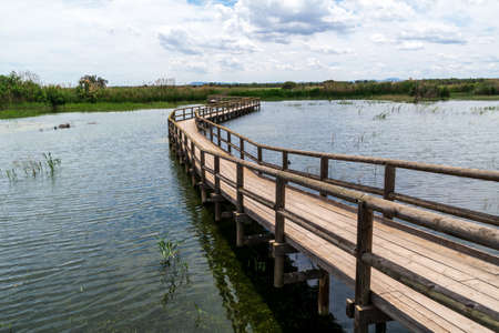 Walkways over lakes at Parc Natural el Fondo in Valencia, Spainの写真素材