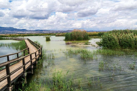 Walkways over lakes at Parc Natural el Fondo in Valencia, Spainの写真素材