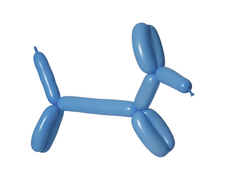 Blue Balloon Dogの写真素材