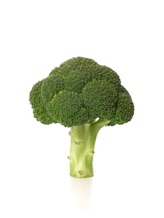 Brocolli Isolated