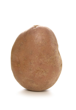 Maris potato isolated on whiteの写真素材