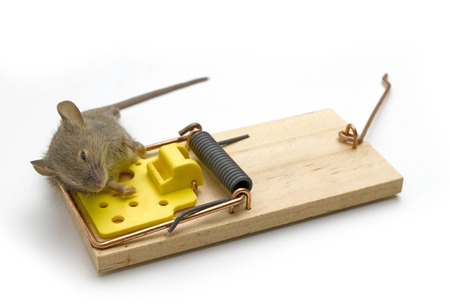 Used Mousetrapの写真素材