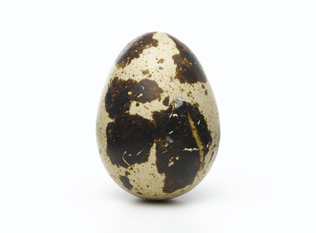 Quail egg on whiteの写真素材