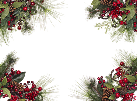 Isolated Christmas wreathの写真素材