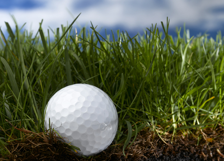 Golf Ball in long grassの写真素材