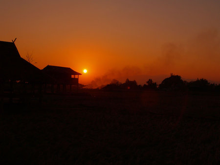         Thai sunset over rice fieldsの写真素材