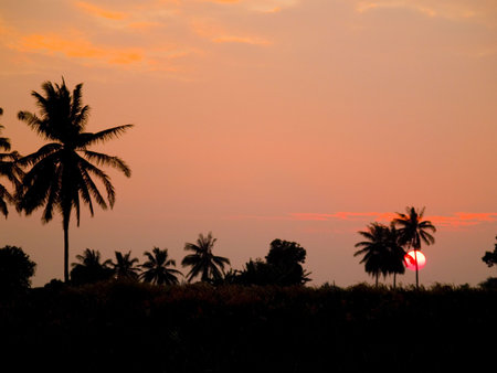 Thai sunsetの写真素材