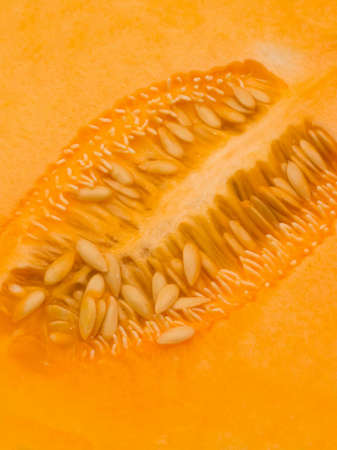 Macro shot of the centre of a sweet melonの写真素材