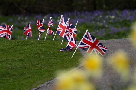 A row of Union flags fly in the breeze behind blurred bright yellow daffodilsの写真素材