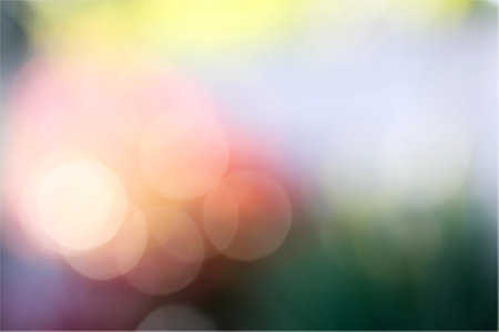 Colourful bokeh, a rainbow of softly blurred circles of light, picking up the hues of garden flowers. A bright colour backgroundの写真素材