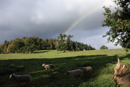 An idyllic countryside scene captured in the Welsh borders, near Wrexham, Wales, UK, late afternoon following rainの写真素材
