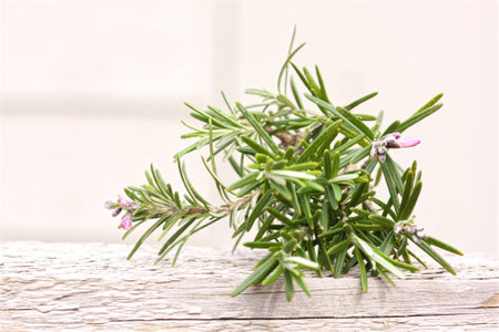 This cutting of rosemary herb taken from kitchen garden is on white wooden surface. Pink flowers stand out against the light airy backgroundの写真素材