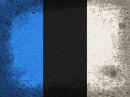 Copyspace Estonia Indicating Waving Flag And Patriotismの写真素材