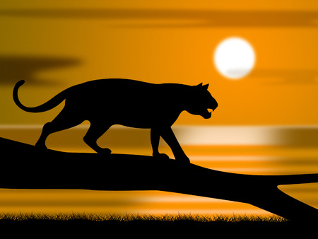 Tiger On Tree Meaning Wildlife Reserve And Safariの写真素材