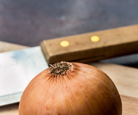 Chopped Onion Showing Cook Book And Vegetableの写真素材