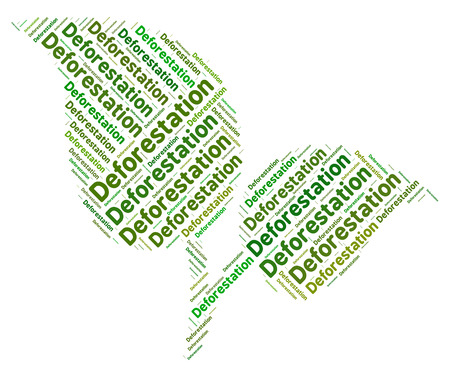 Deforestation Word Representing Cut Down And Treesの写真素材