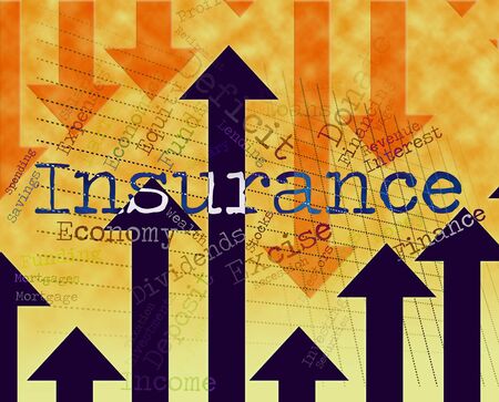 Insurance Word Meaning Insured Indemnity And Indemnities