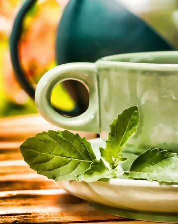 Mint Tea Refreshment Showing Drinks Fruits And Cafesの写真素材