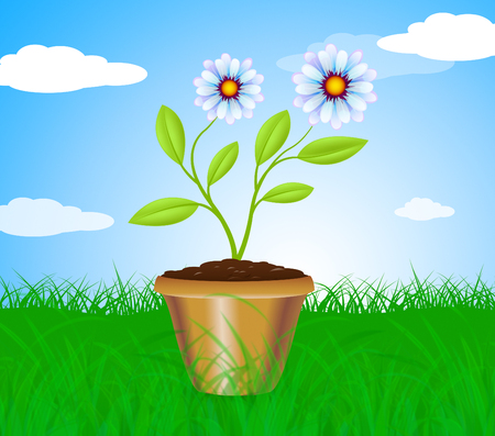 Potted Plant Meaning Cultivation Gardening And Plantsの写真素材