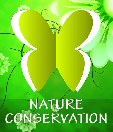 Nature Conservation Butterfly Cutout Shows Preservation 3d Illustrationの写真素材