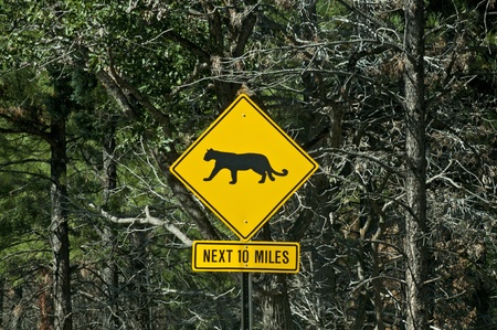 Sign warning of mountain lions near the Grand Canyonの写真素材