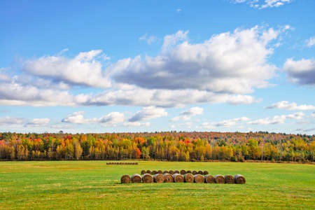 Fall color in Maine with trees in the background and round hay bales in the foreground.