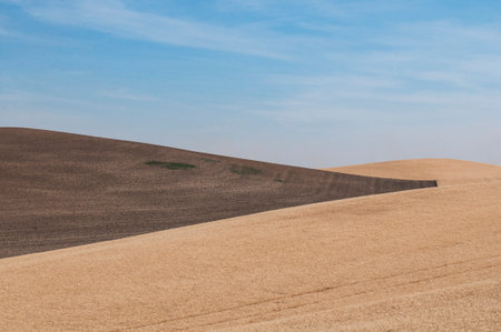 Harvested wheat fields in the Palouse area of Washington Stateの写真素材