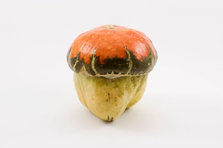 decorative pumpkinの写真素材