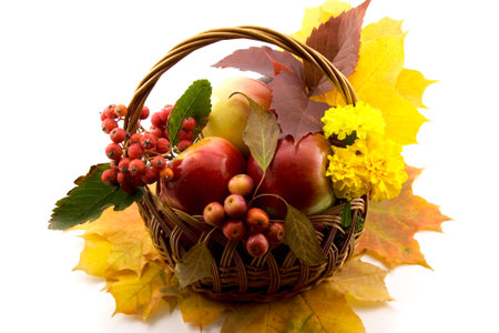 Autumn fruits with yellow leaves in a basket isolated on whiteの写真素材