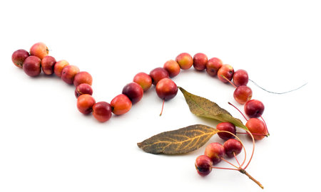 Beads made of applesの写真素材