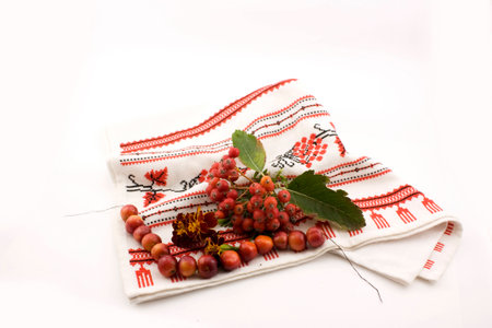 rowanberry on embroideryの写真素材