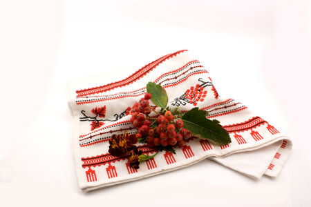 rowanberry on embroideryの写真素材