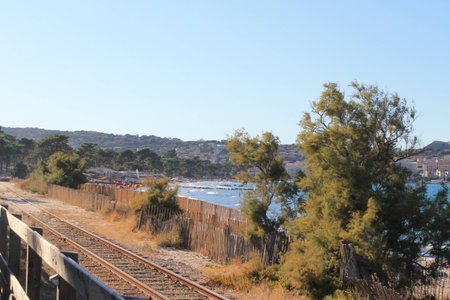 corseの写真素材