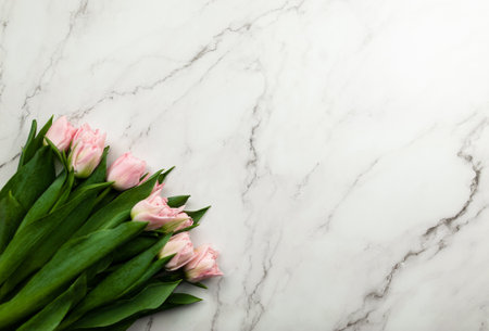 Top view of pink tulips on white marble background. Spring flowers flat lay. Copy space.の写真素材