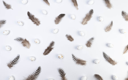 Top view of brown feathers, white easter eggs on white background. Creative easter composition, spring, copy space, flat lay.の写真素材