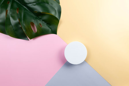 Top view of green monstera leaf and white podium on colourful background. Blue, pink and yellow background. Product presentation, colourful wallpaper flat lay, copy space.の写真素材