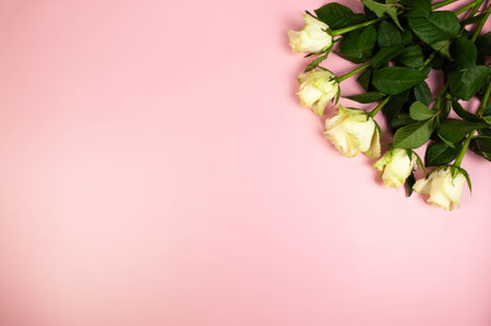 Top view of white roses bouquet on pink background. Flat lay, copy space.の写真素材